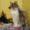 Отзыв от Алеся Верещагина